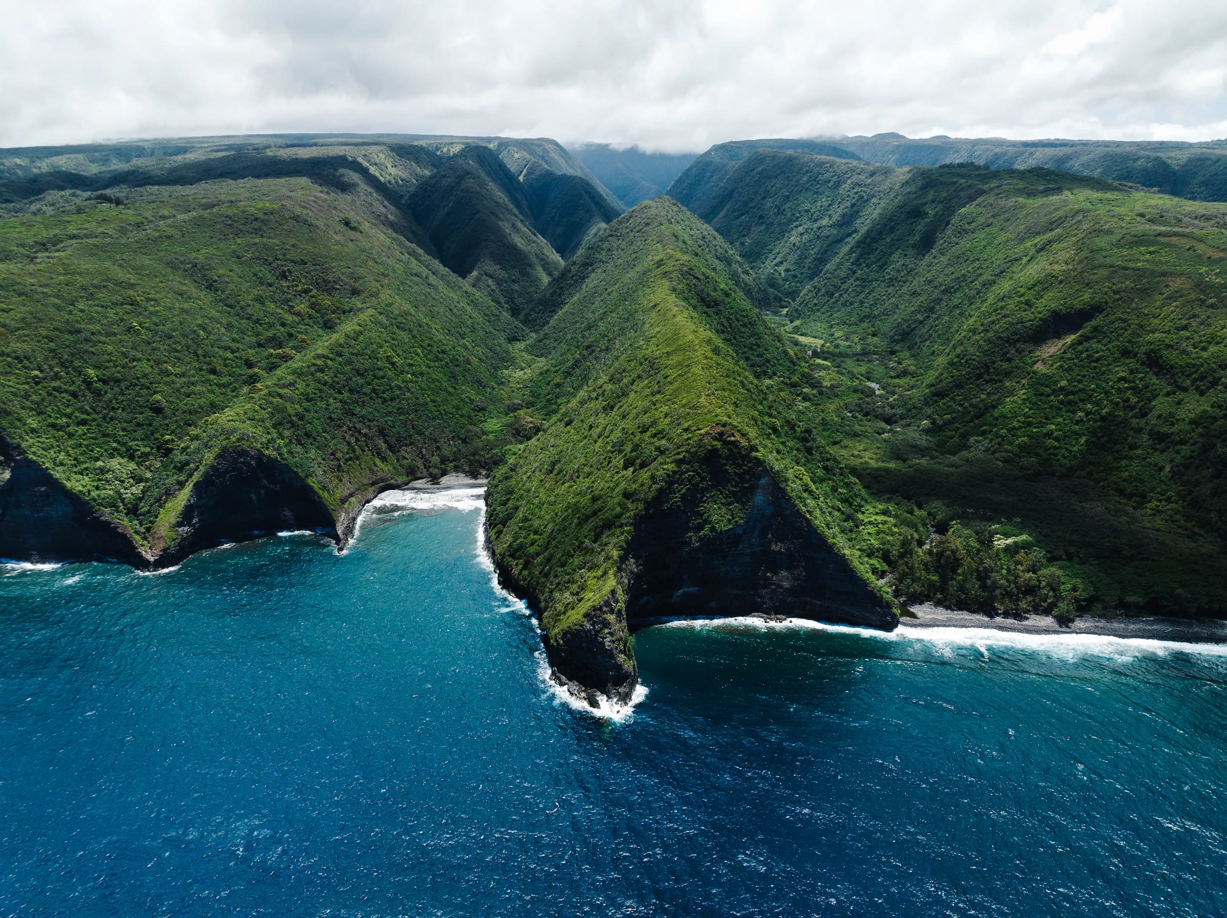An aerial view of green coastal cliffs meeting the ocean